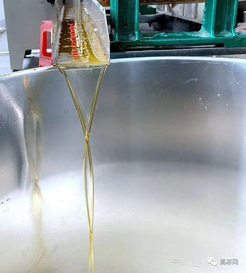 高州食品集團又一力作 果鄉花生油廠 正式投產,滴滴純正